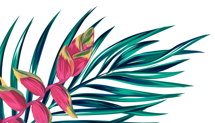 flower-1